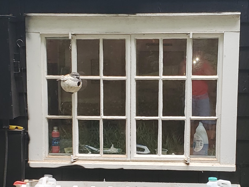 Old Window