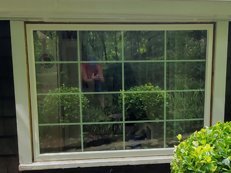 New  Window