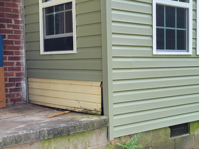Ageless Windows Siding