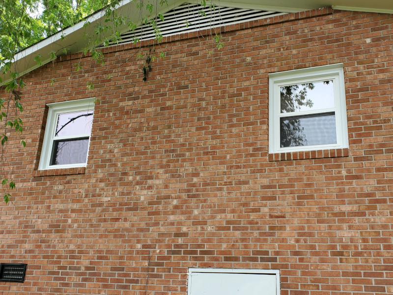 New  Windows